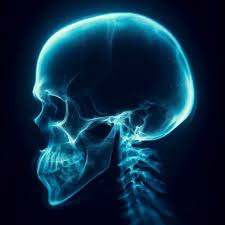 Rhinology & Anterior Skull Base Surgeries